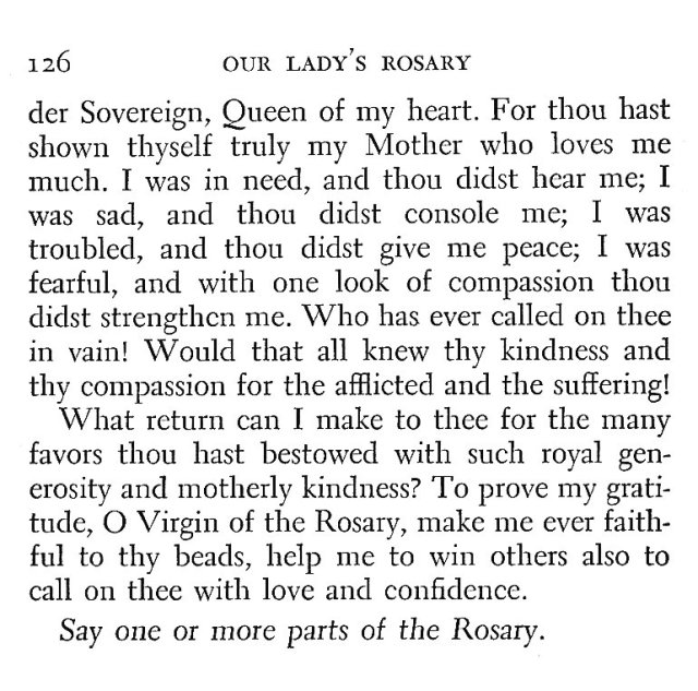 Rosary Triduum and Novena 7